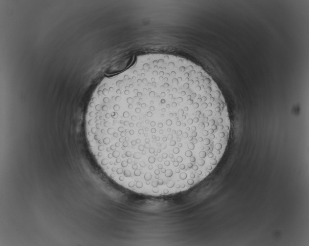 X0000115770458200912241753