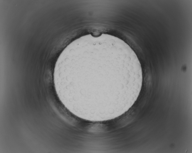 X0000115770459200912241753