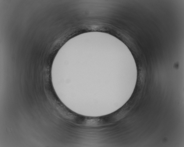 X0000115770461200912241753