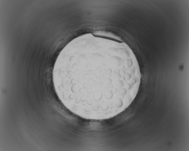 X0000115770462200912241753