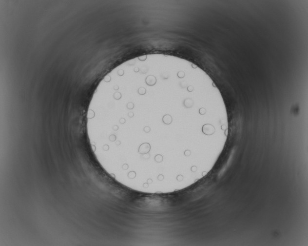 X0000115770464200912241753