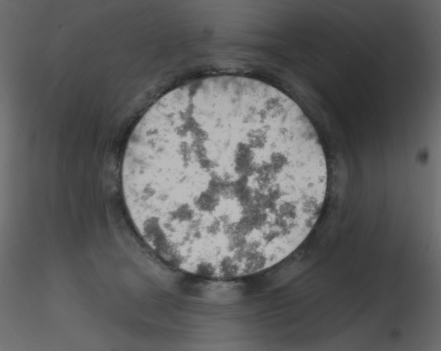 X0000115770465200912241753