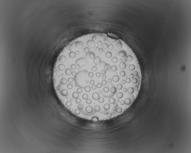 X0000115770466200912241753