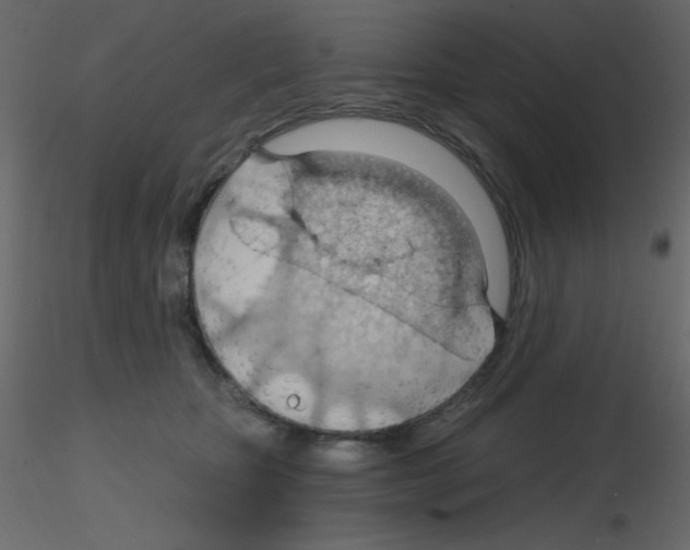 X0000115770467200912241753