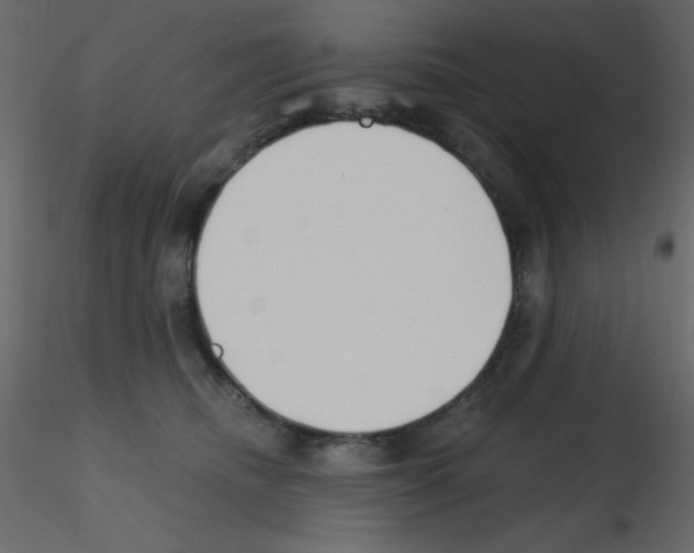 X0000115770468200912241753