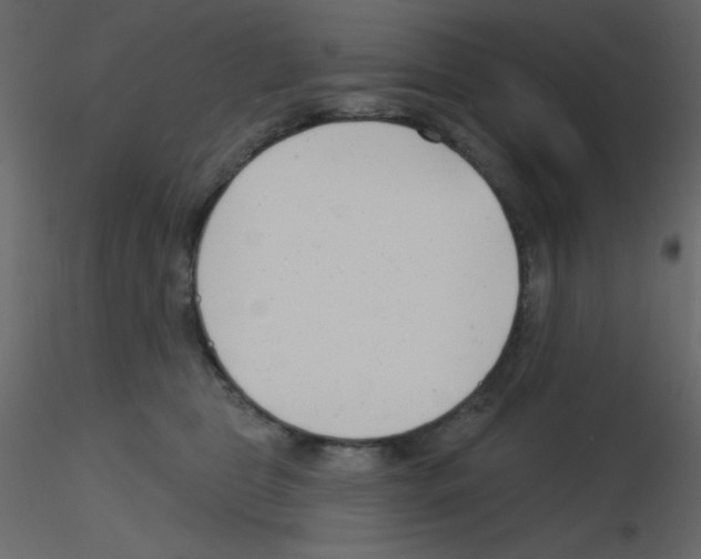 X0000115770469200912241753