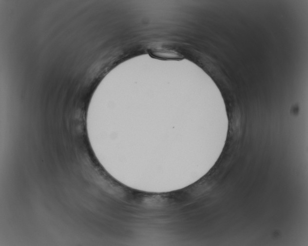 X0000115770470200912241753