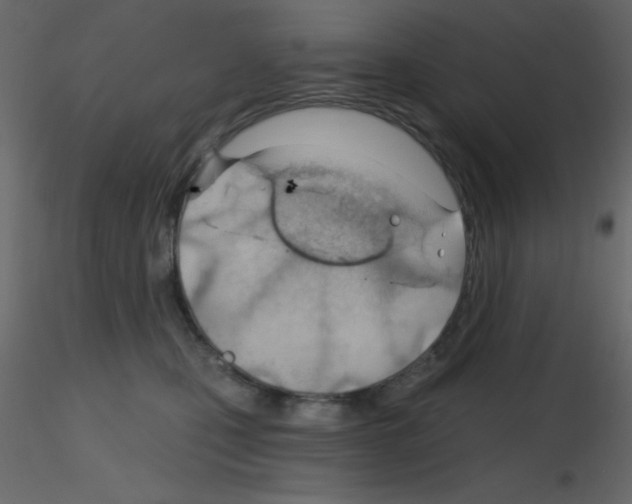 X0000115770471200912241753