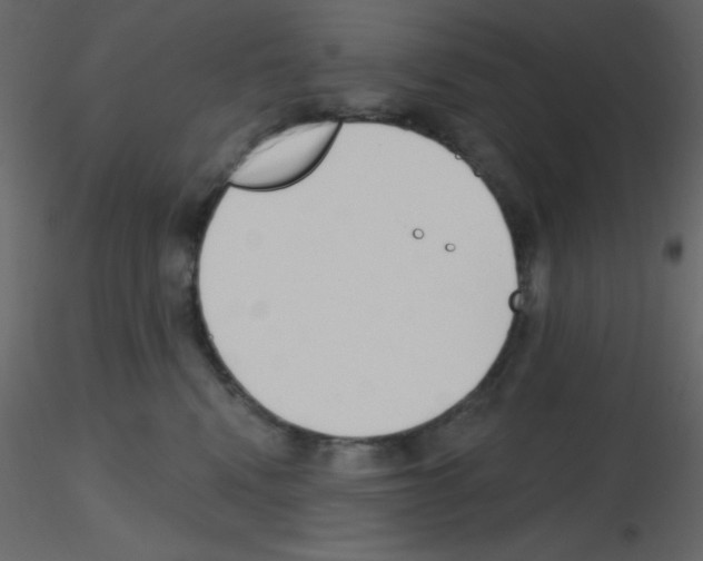 X0000115770472200912241753