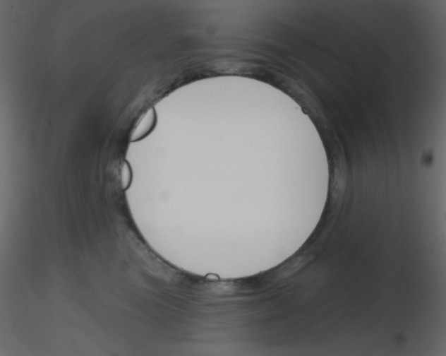 X0000115770473200912241753