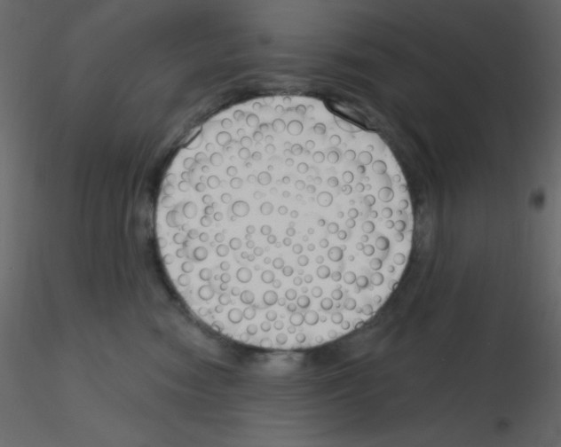 X0000115770474200912241753