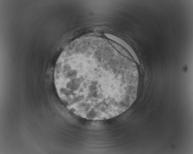 X0000115770475200912241753