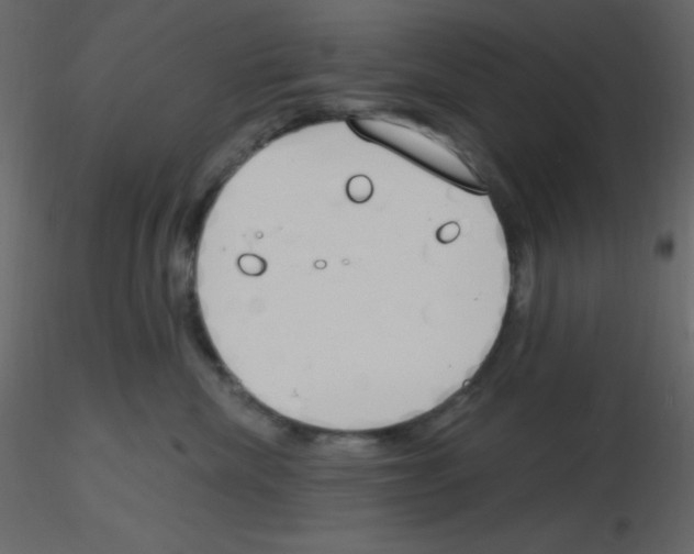 X0000115770476200912241753