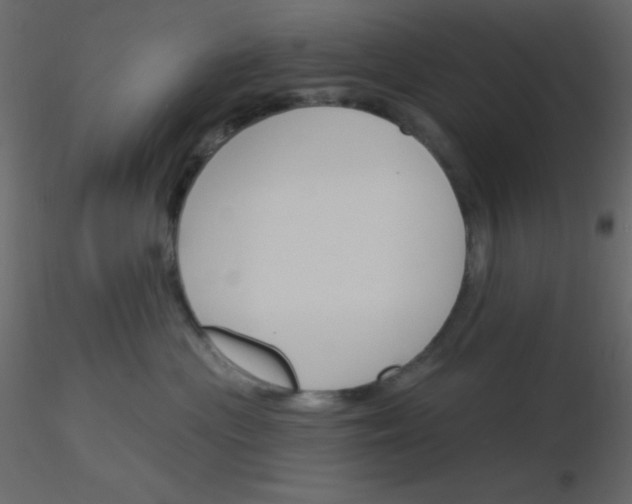 X0000115770477200912241753