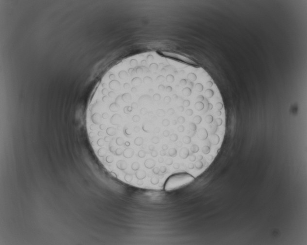 X0000115770478200912241753