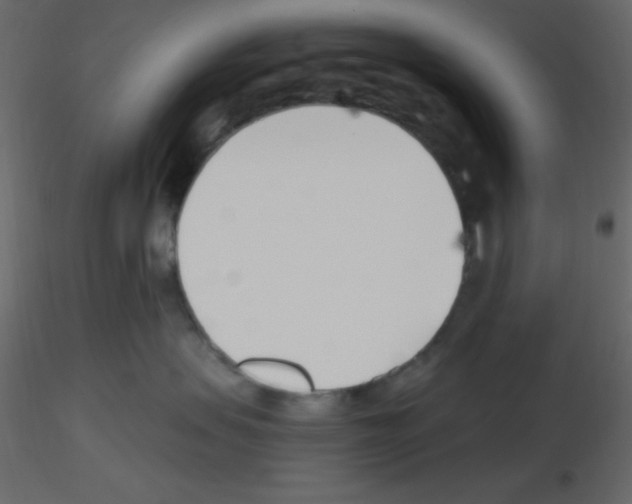 X0000115770479200912241753