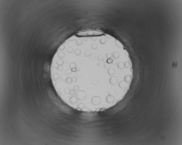 X0000115770480200912241753
