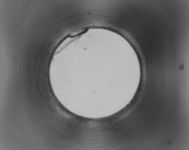X0000115770481200912241753