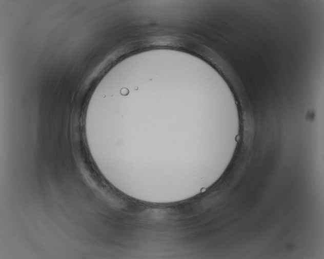 X0000115770482200912241753