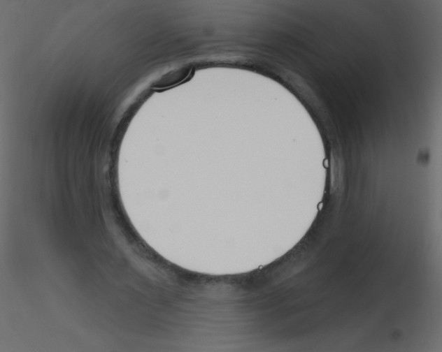 X0000115770483200912241753