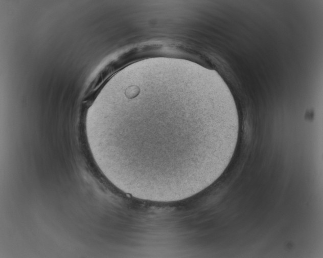 X0000115770484200912241753