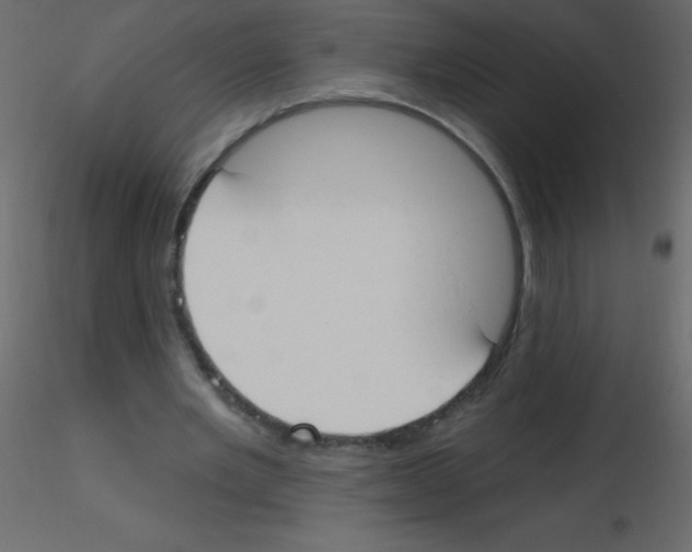 X0000115770485200912241753