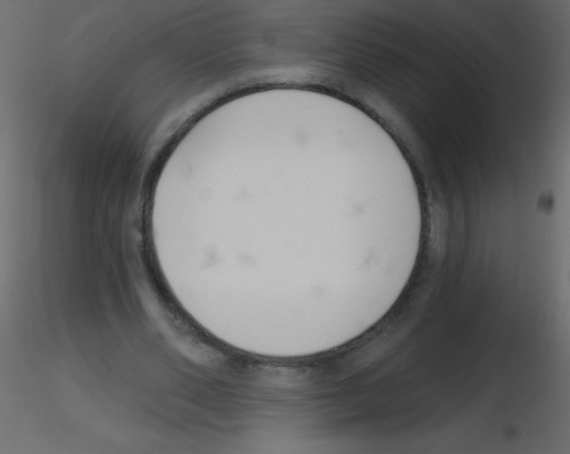 X0000115770486200912241753