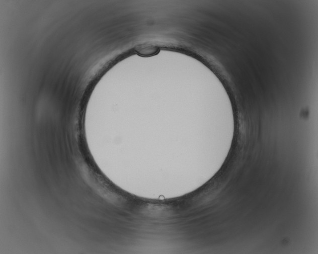 X0000115770487200912241753