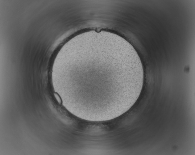 X0000115770488200912241753