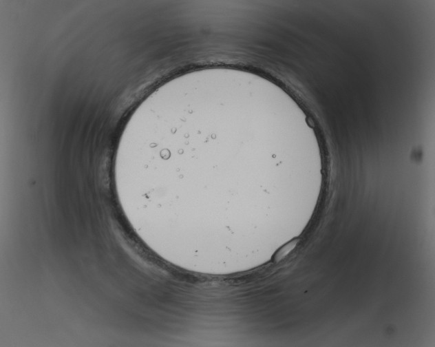 X0000115770489200912241753
