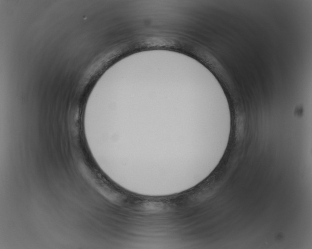 X0000115770490200912241753