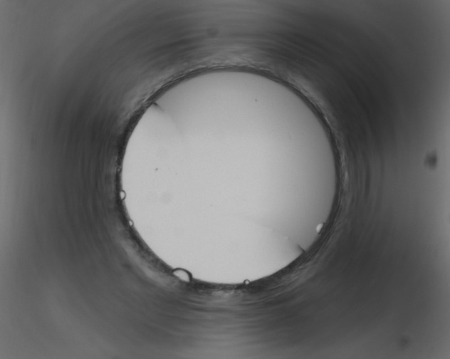 X0000115770493200912241753