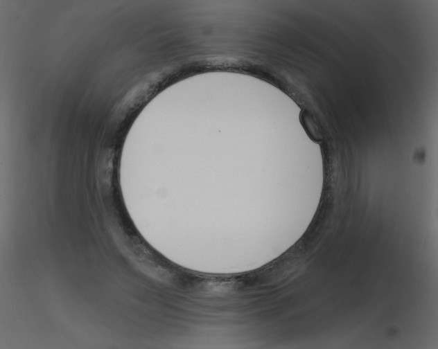 X0000115770495200912241753