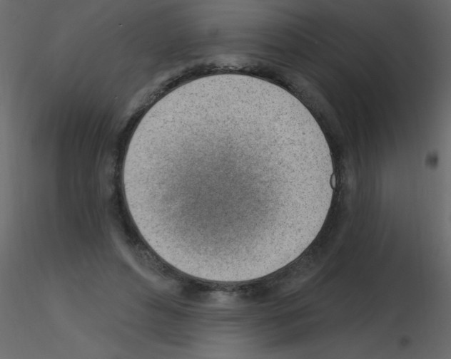 X0000115770496200912241753