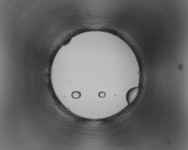 X0000115770497200912241753