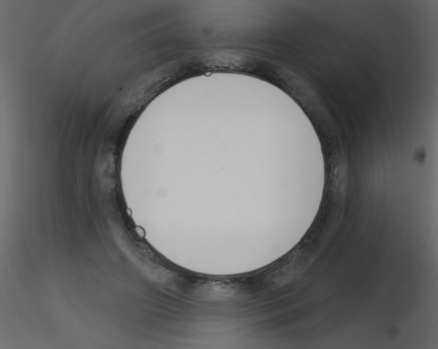X0000115770498200912241753