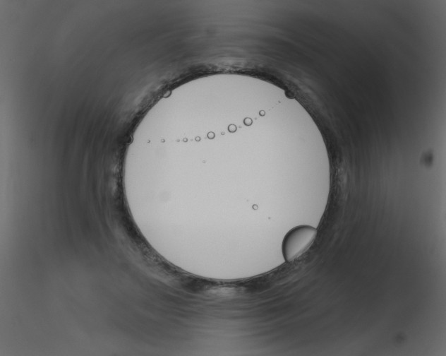 X0000115770499200912241753
