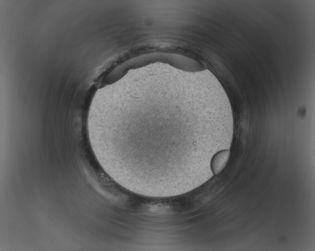 X0000115770500200912241753