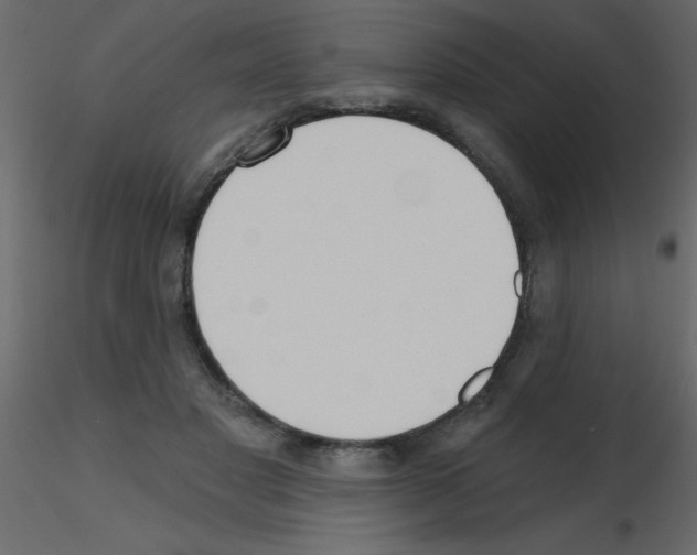 X0000115770501200912241753