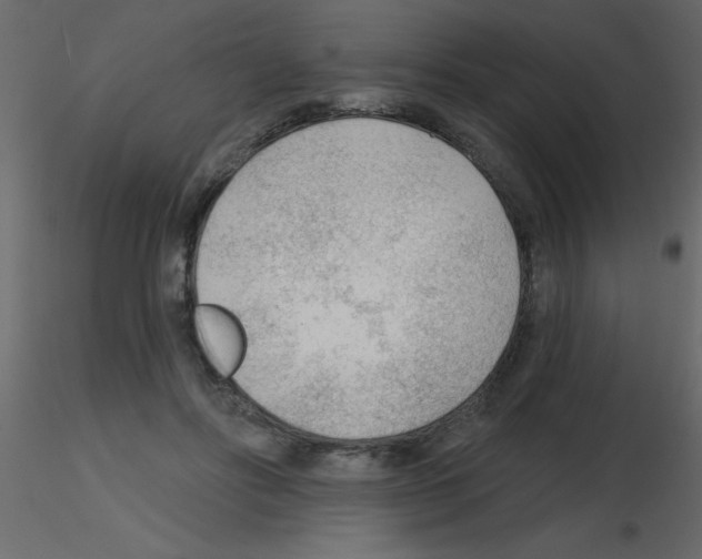 X0000115770502200912241753