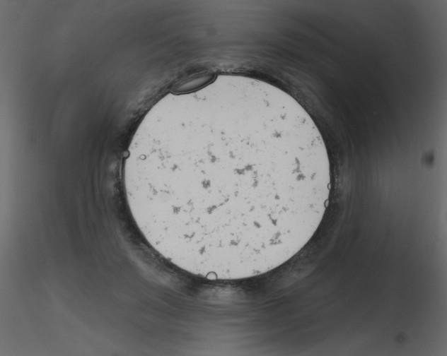 X0000115770503200912241753
