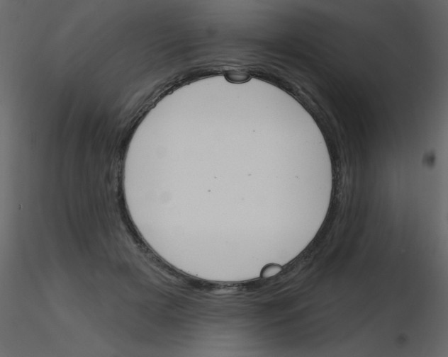 X0000115770505200912241753