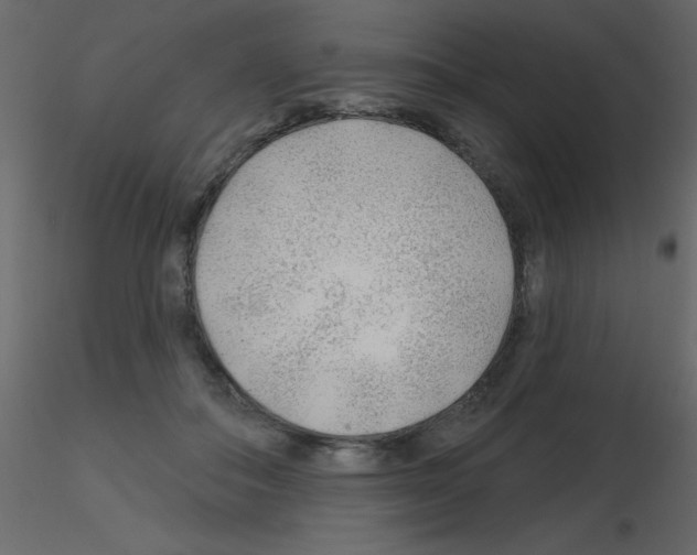 X0000115770506200912241753