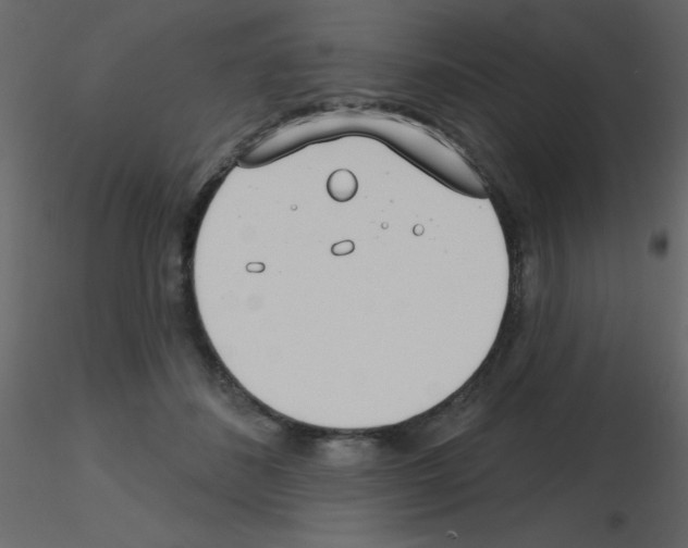X0000115770508200912241752