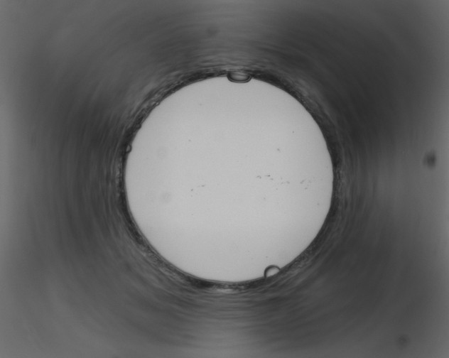 X0000115770509200912241752