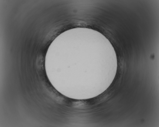 X0000115770511200912241752