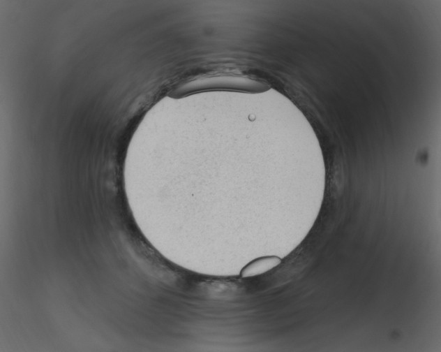 X0000115770512200912241752