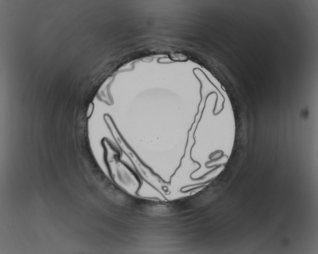 X0000115770513200912241752