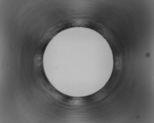 X0000115770514200912241752