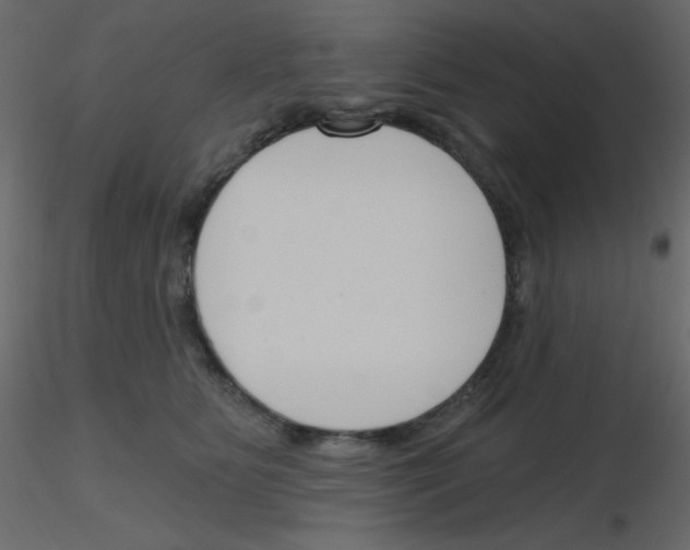 X0000115770515200912241752